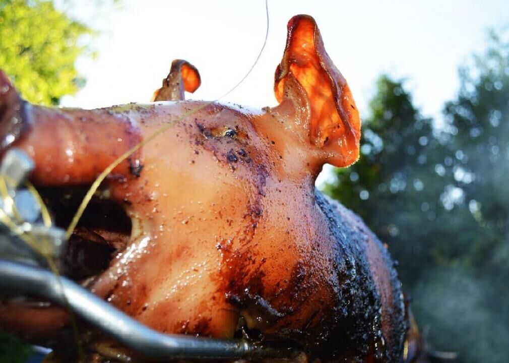 Nose-to-tail eating emerges